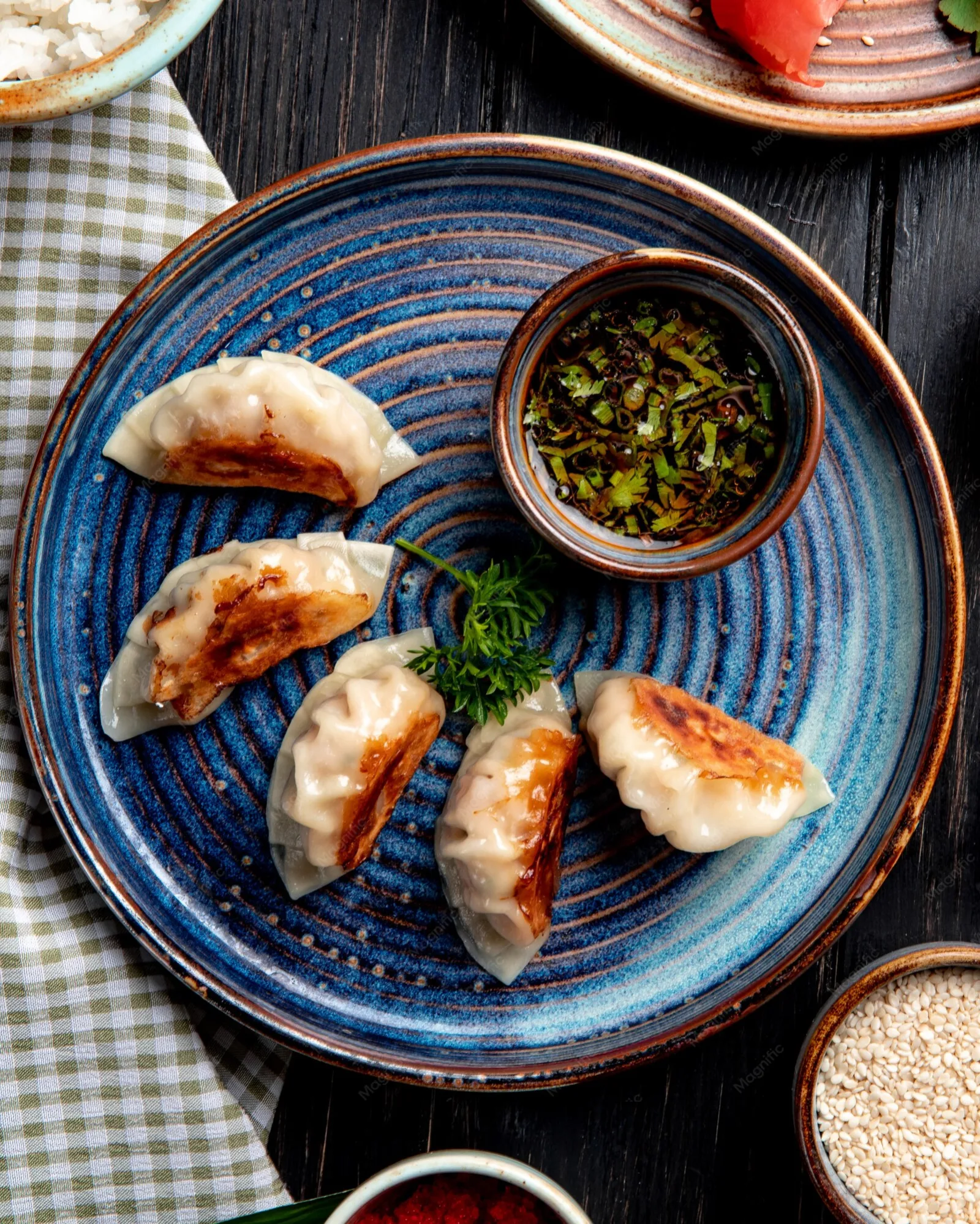 Veg momos (8)